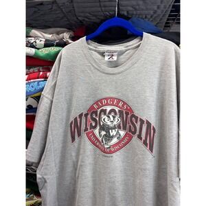 Vintage Jerzees Wisconsin Badgers T-Shirt Mens XL Gray Bucky Badger NCAA 6612